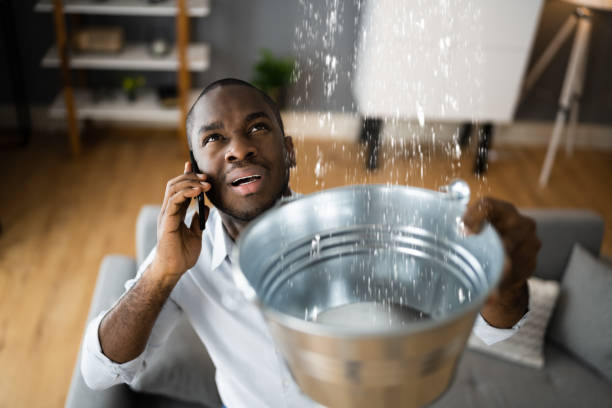 Best 24/7 water damage repair  in North Branch, MI