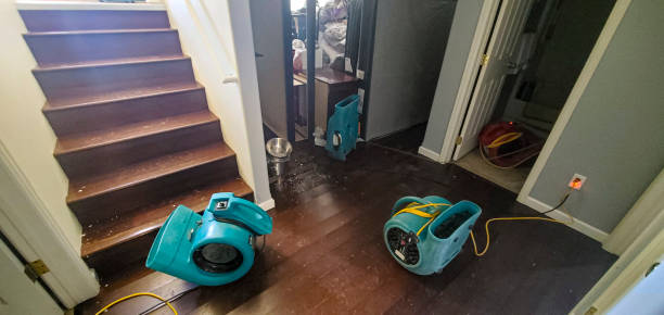 Best 24-hour water damage restoration  in North Branch, MI