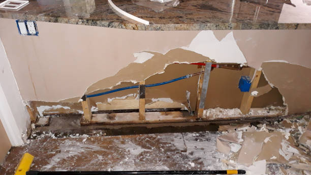 Best Professional water damage repair  in North Branch, MI