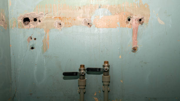 Best 24/7 water damage repair  in North Branch, MI