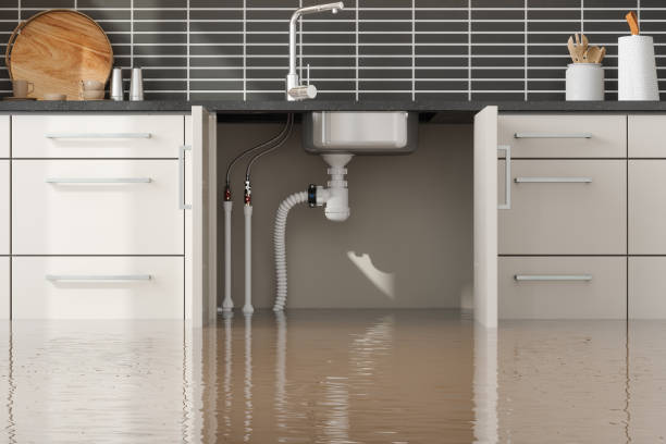 Best Water damage restoration services  in North Branch, MI