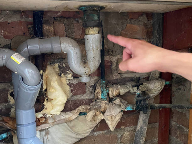 Best Flood damage cleanup  in North Branch, MI