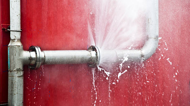 Best Ceiling water damage repair  in North Branch, MI