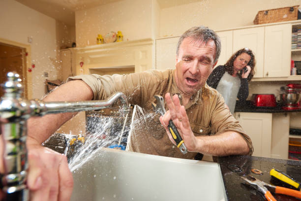 Best 24-hour water damage restoration  in North Branch, MI